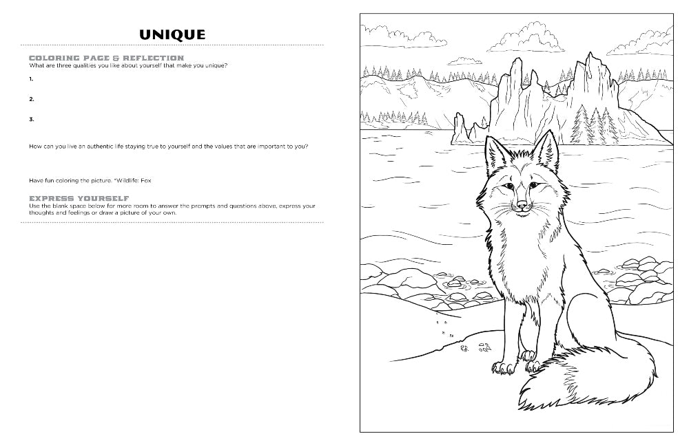 Discover Crater Lake expressive art coloring activity book