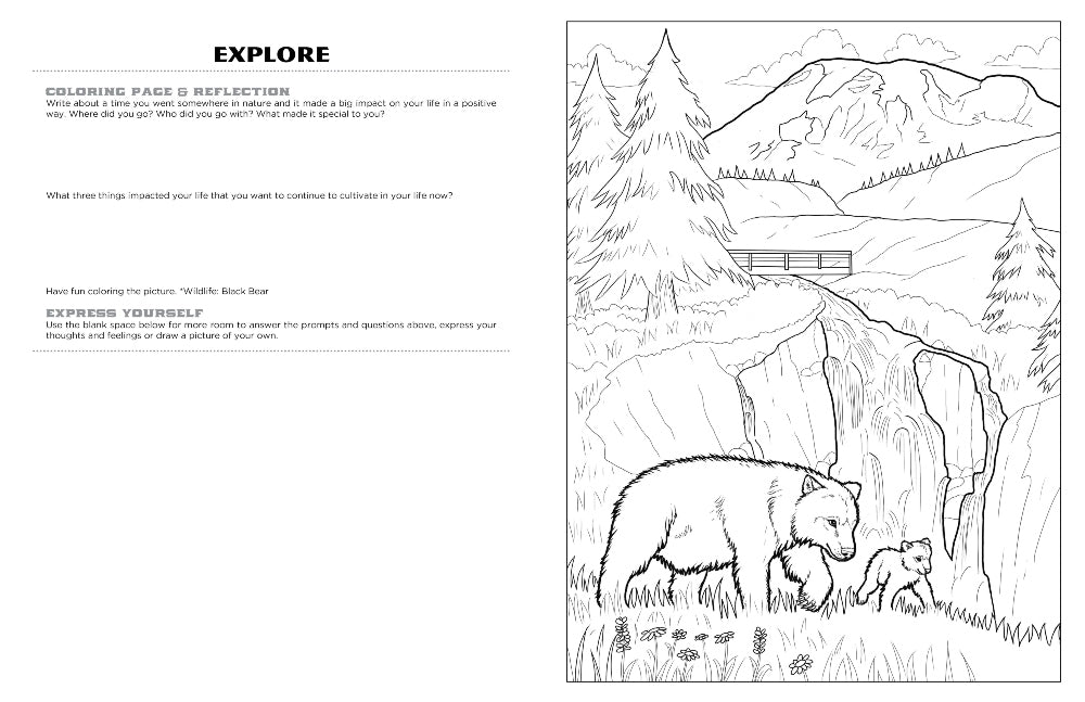 Discover Mt. Rainier expressive art coloring activity book