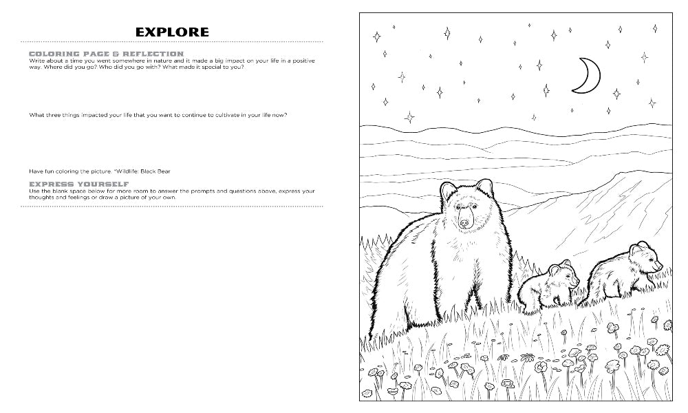 Discover Smoky Mountain expressive art coloring activity book