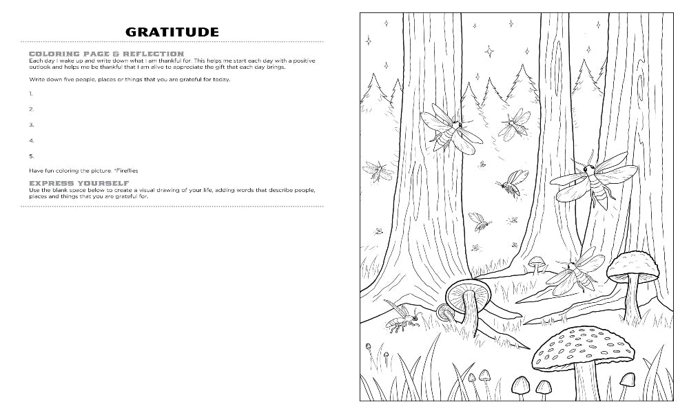 Discover Smoky Mountain expressive art coloring activity book