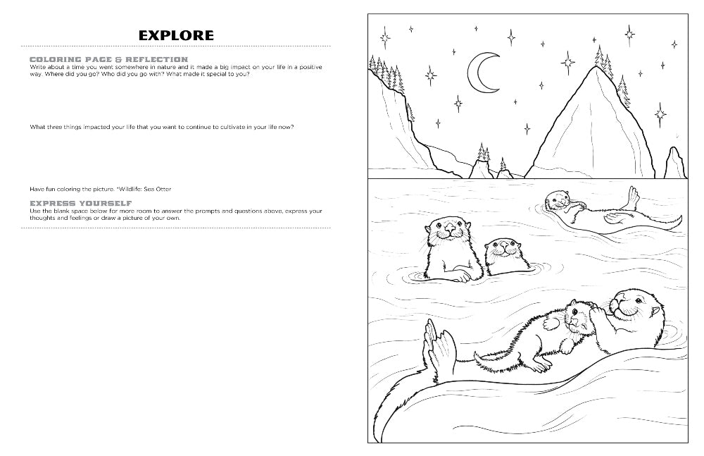 Discover Olympic expressive art coloring activity book