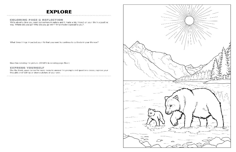 Discover Glacier expressive art coloring activity book