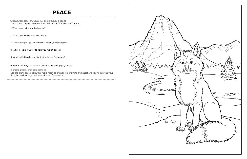 Discover Glacier expressive art coloring activity book