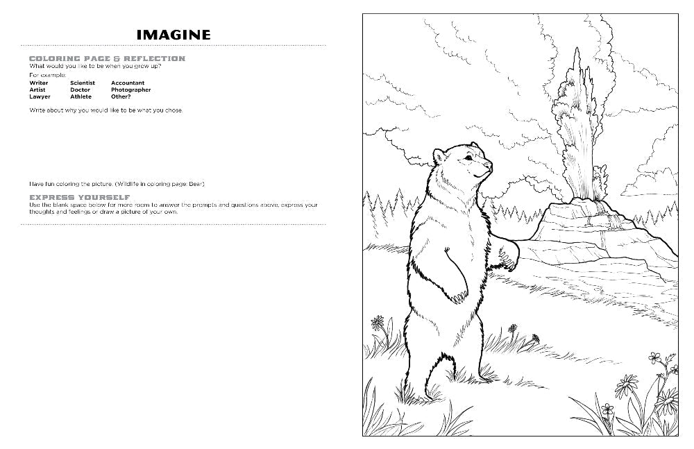Discover Yellowstone expressive art coloring activity book